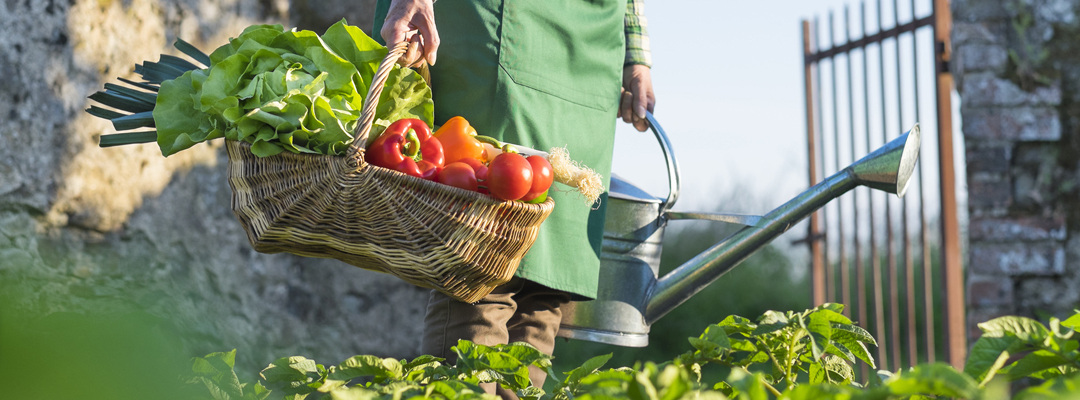 Gut(es) essen | Eigene Landwirtschaft | Landgasthof Gut Marienbildchen, Roetgen