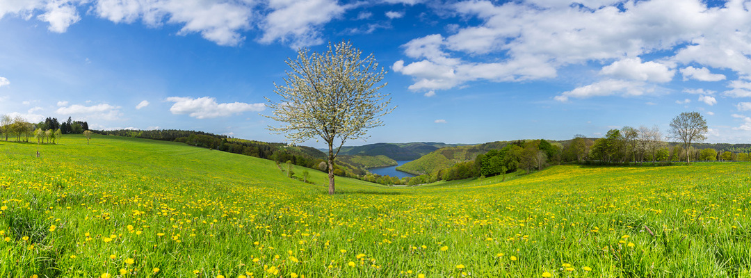 Region | Links | Landgasthof Gut Marienbildchen, Roetgen
